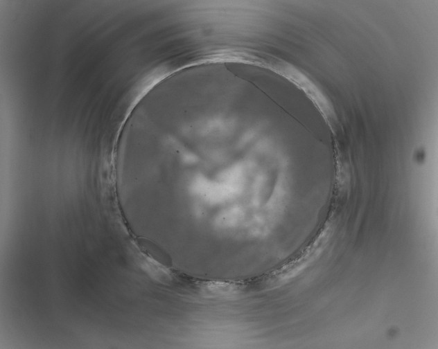 X0000116781097201001141506