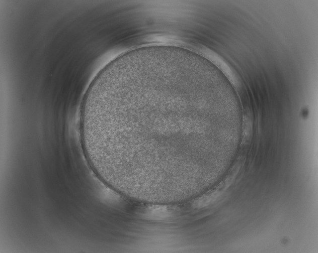 X0000116781098201001141506