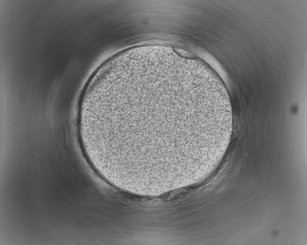 X0000116781099201001141506