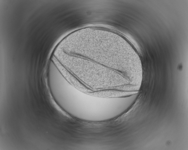 X0000116781100201001141506