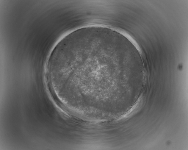 X0000116781101201001141506