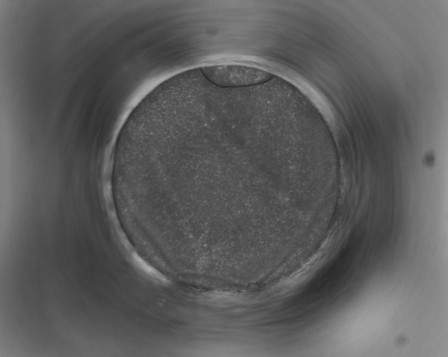 X0000116781102201001141506