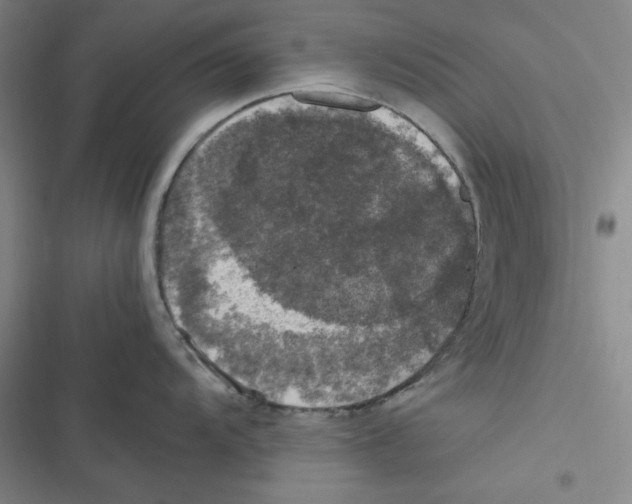 X0000116781104201001141506