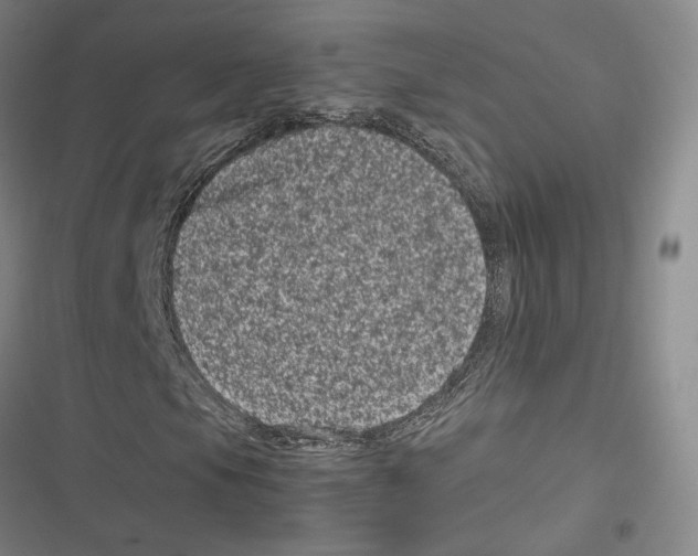 X0000116781105201001141506