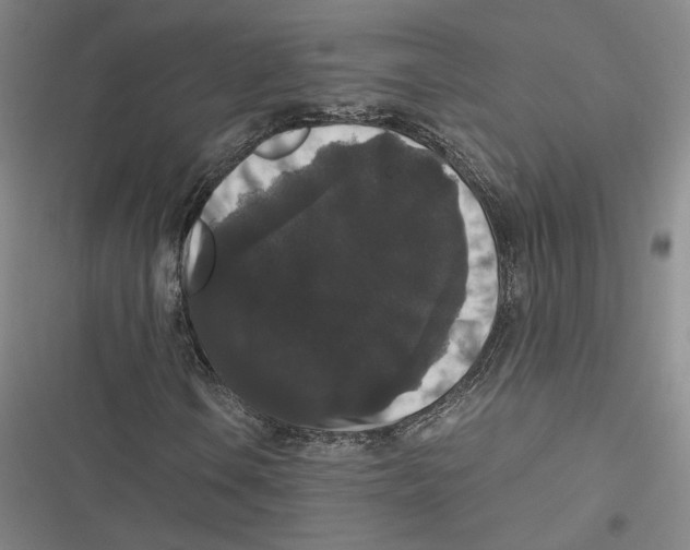 X0000116781106201001141506