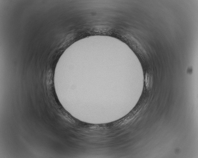 X0000116781107201001141506