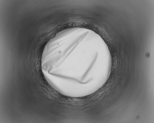 X0000116781109201001141506