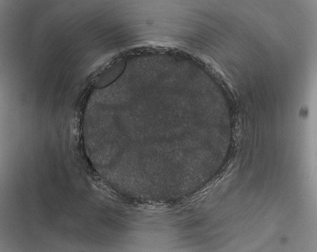 X0000116781110201001141506