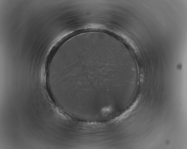 X0000116781117201001141506