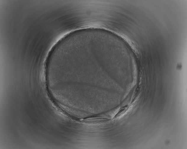 X0000116781118201001141506