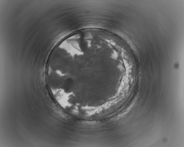 X0000116781121201001141506