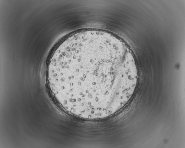 X0000116781123201001141506