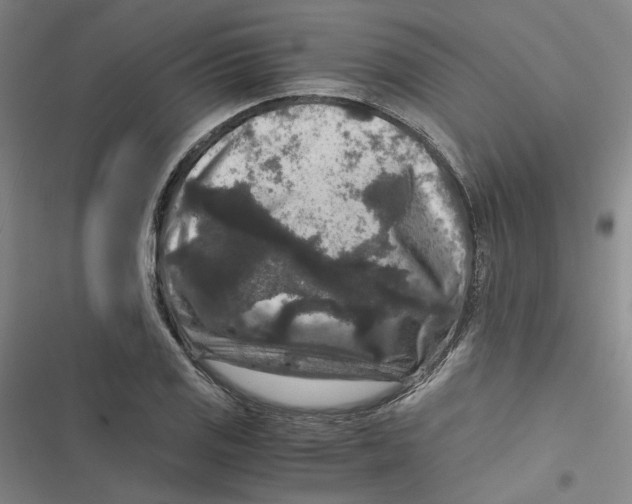 X0000116781125201001141506