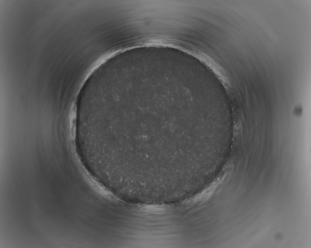 X0000116781126201001141506