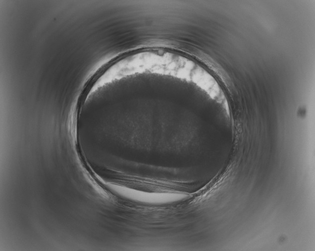 X0000116781127201001141506