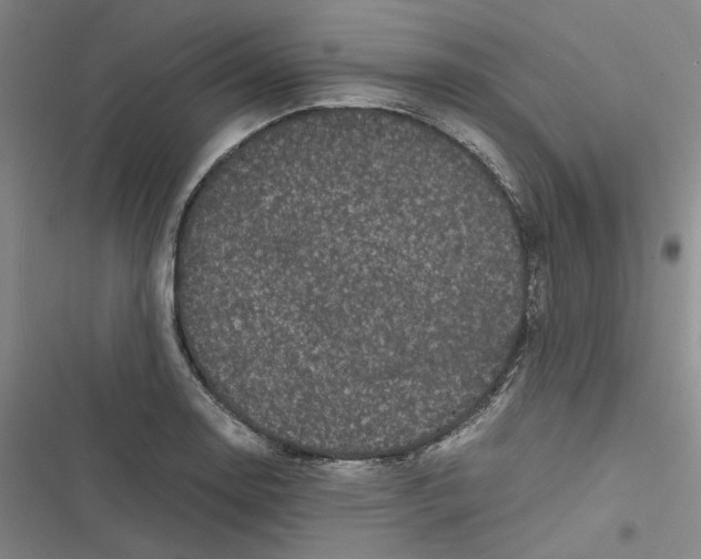 X0000116781130201001141506