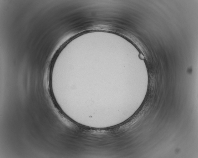 X0000116781131201001141506