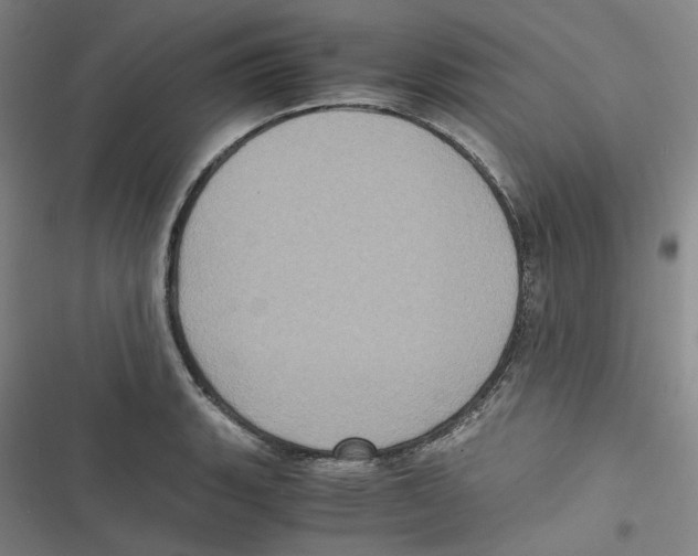 X0000116781135201001141506