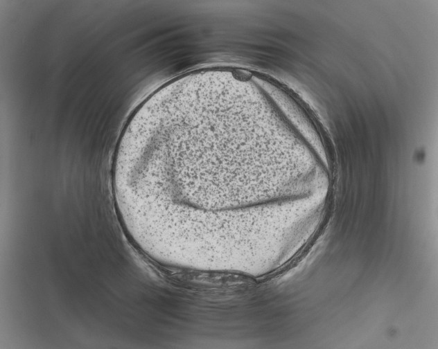 X0000116781137201001141506