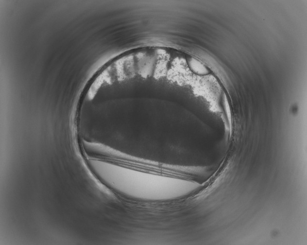 X0000116781141201001141506