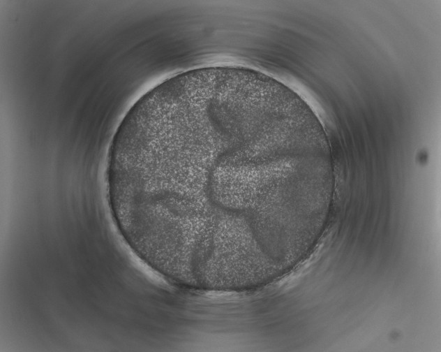 X0000116781142201001141506