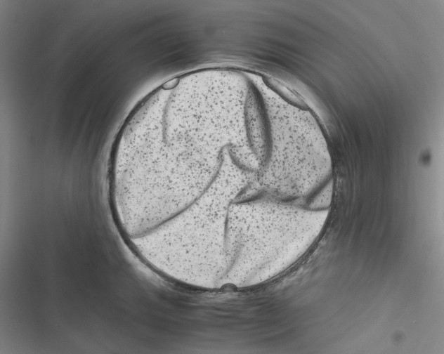 X0000116781143201001141506