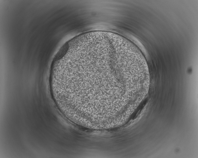 X0000116781146201001141506