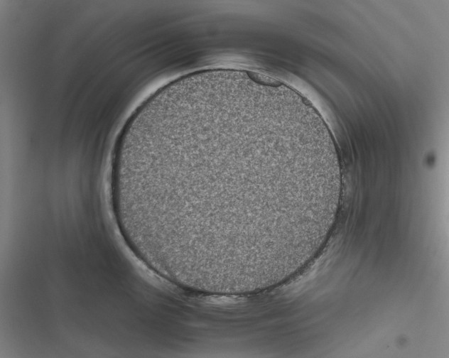 X0000116781147201001141506