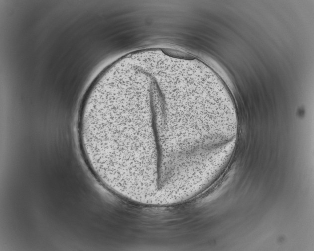 X0000116781149201001141506