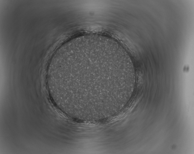 X0000116781153201001141506