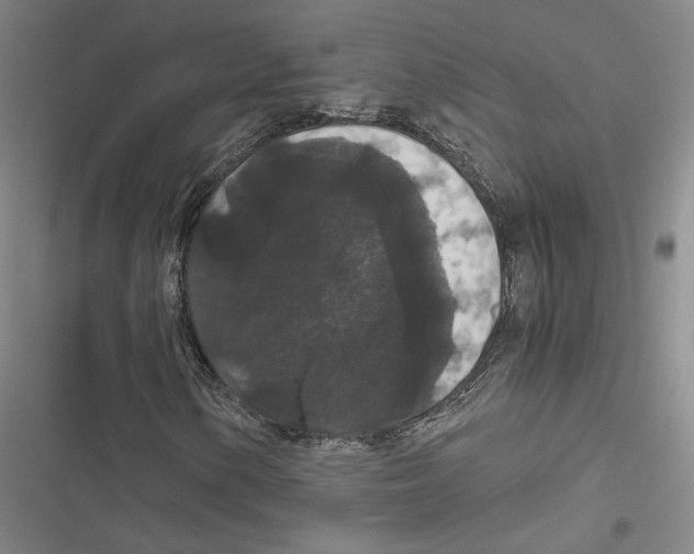 X0000116781154201001141506