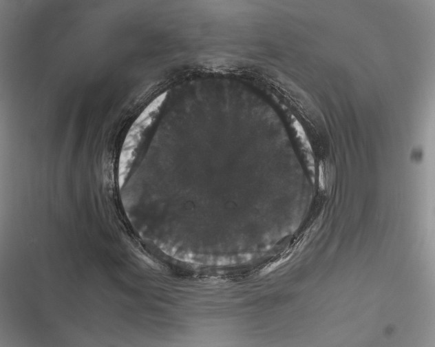 X0000116781155201001141506