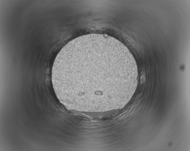 X0000116781156201001141505