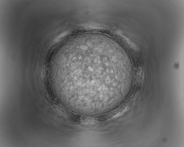 X0000116781157201001141505