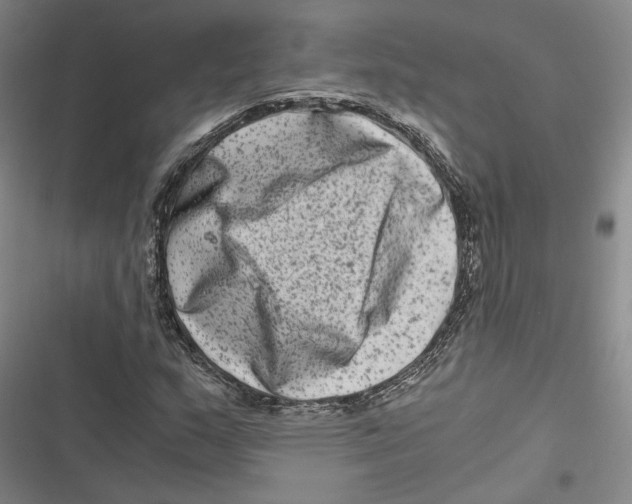 X0000116781159201001141505