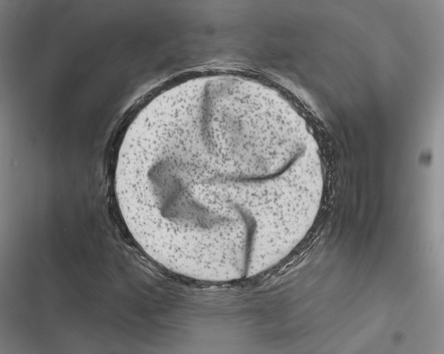 X0000116781160201001141505