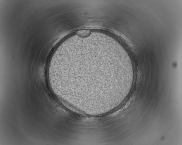 X0000116781162201001141505