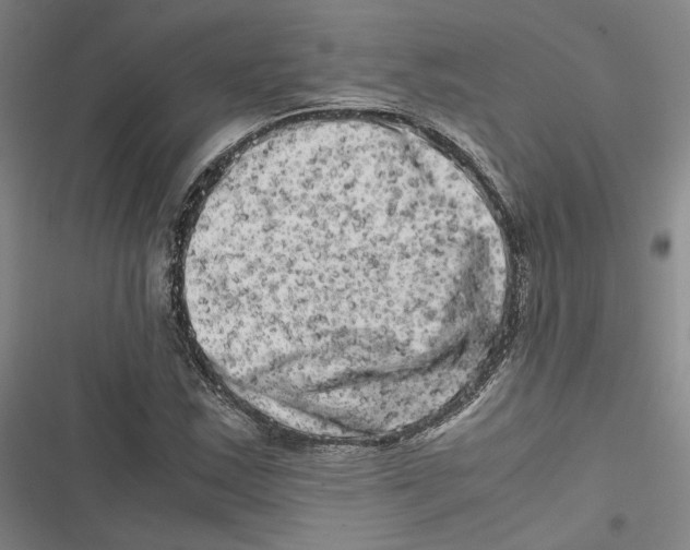 X0000116781163201001141505