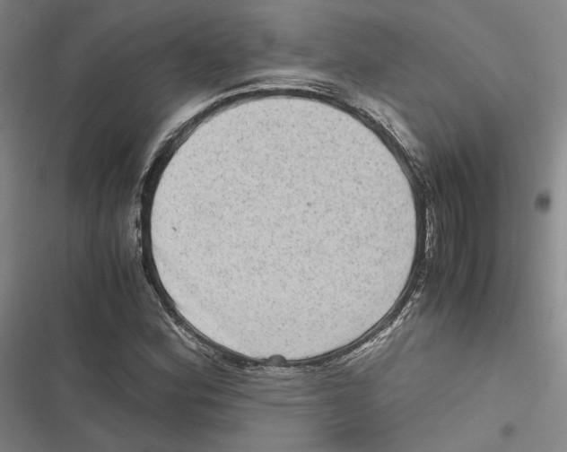 X0000116781164201001141505