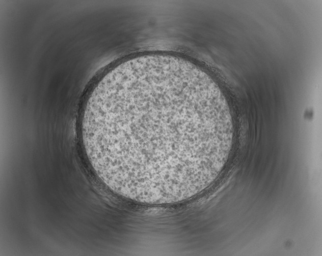 X0000116781166201001141505