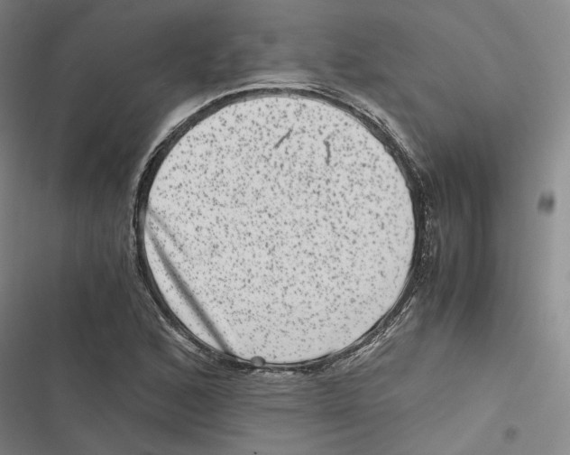 X0000116781168201001141505