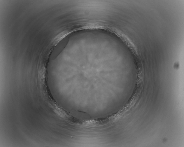 X0000116781169201001141505