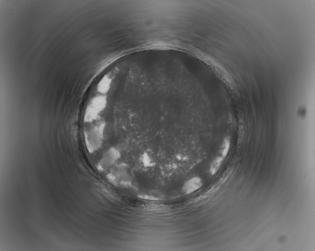 X0000116781170201001141505