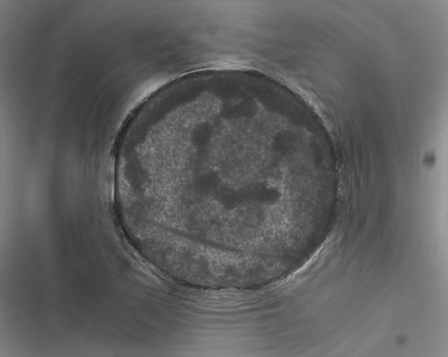 X0000116781171201001141505