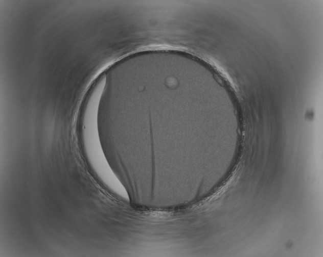 X0000116781173201001141505