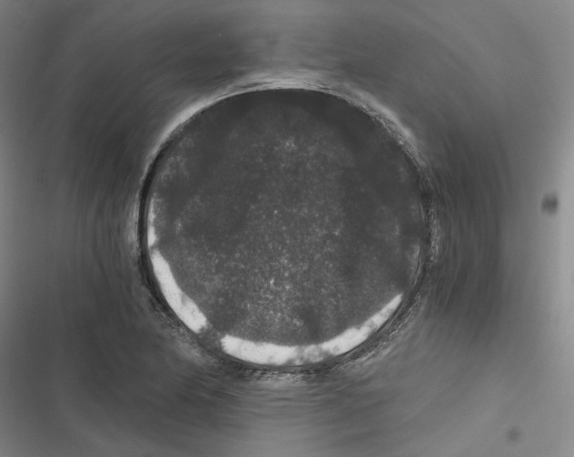 X0000116781174201001141505