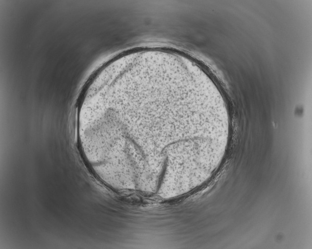 X0000116781175201001141505