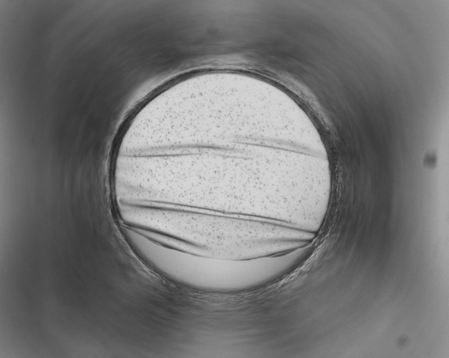 X0000116781176201001141505