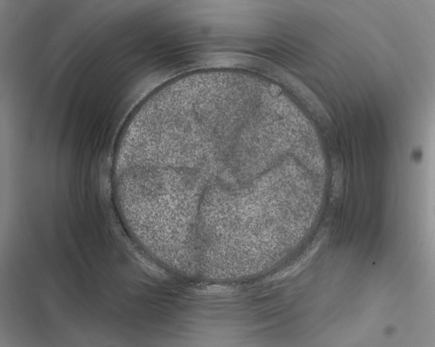 X0000116781178201001141505