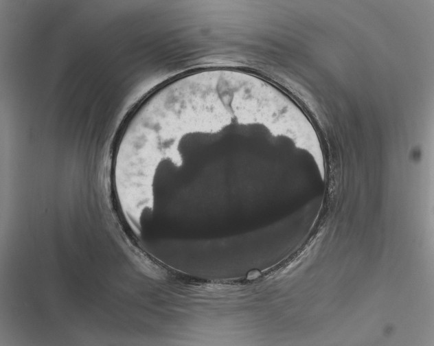 X0000116781179201001141505